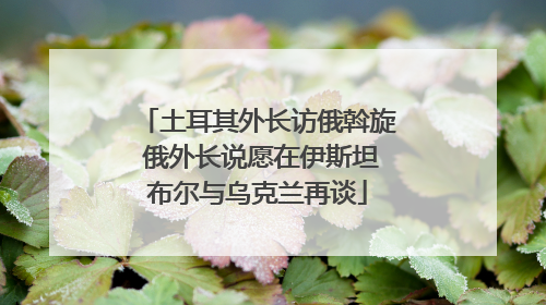 土耳其外长访俄斡旋 俄外长说愿在伊斯坦布尔与乌克兰再谈