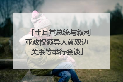 土耳其总统与叙利亚政权领导人就双边关系等举行会谈