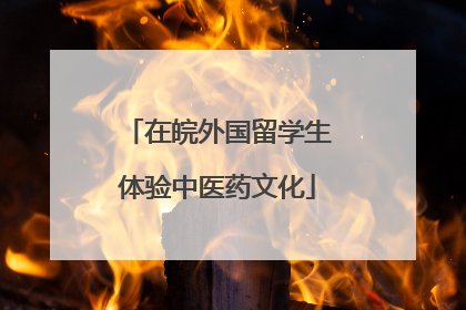 在皖外国留学生体验中医药文化