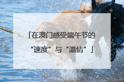 在澳门感受端午节的“速度”与“温情”