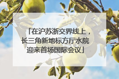 在沪苏浙交界线上，长三角新地标方厅水院迎来首场国际会议