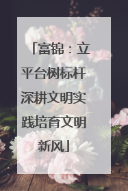 富锦：立平台树标杆深耕文明实践培育文明新风