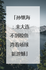 孙继海：来大连不到梭鱼湾看场球挺遗憾