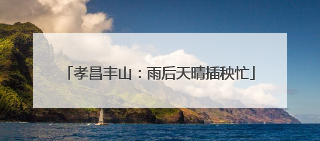 孝昌丰山：雨后天晴插秧忙