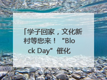 学子回家，文化新村等您来！“Block Day”催化学院式街区新生态