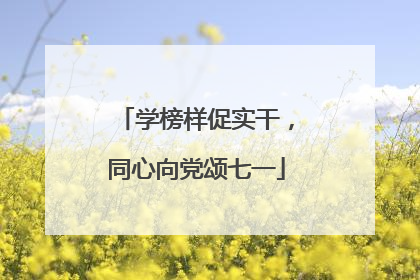 学榜样促实干，同心向党颂七一