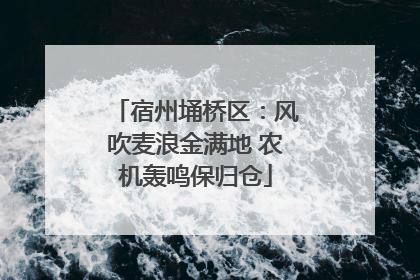 宿州埇桥区：风吹麦浪金满地 农机轰鸣保归仓