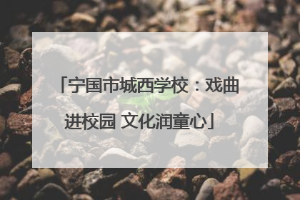 宁国市城西学校：戏曲进校园 文化润童心