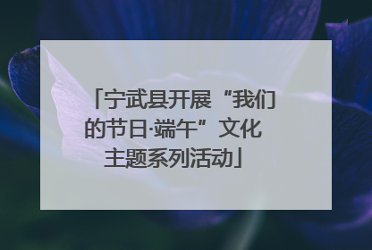 宁武县开展“我们的节日·端午”文化主题系列活动