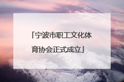 宁波市职工文化体育协会正式成立