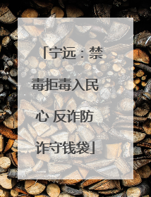 宁远：禁毒拒毒入民心 反诈防诈守钱袋