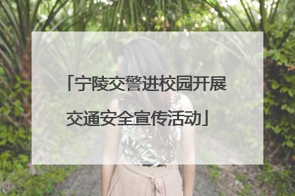 宁陵交警进校园开展交通安全宣传活动
