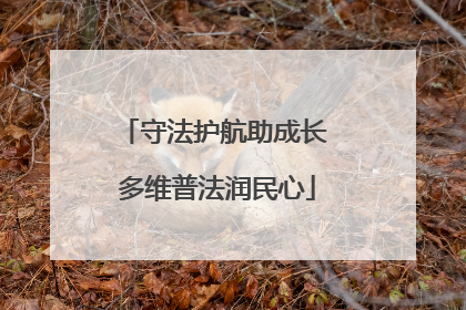 守法护航助成长 多维普法润民心