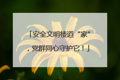 安全文明楼道“家”，党群同心守护它！