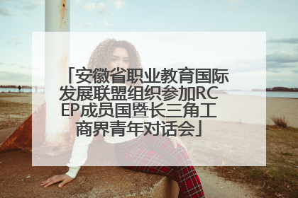 安徽省职业教育国际发展联盟组织参加RCEP成员国暨长三角工商界青年对话会