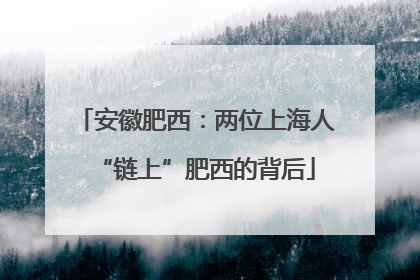 安徽肥西：两位上海人“链上”肥西的背后