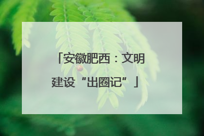 安徽肥西：文明建设“出圈记”