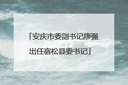 安庆市委副书记廖强出任宿松县委书记