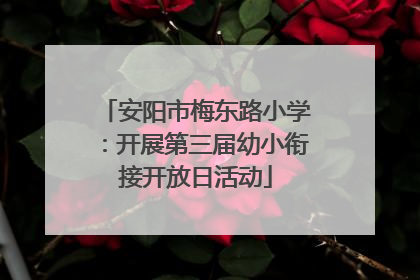 安阳市梅东路小学:开展第三届幼小衔接开放日活动