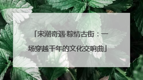 宋潮奇遇·粽情古街：一场穿越千年的文化交响曲