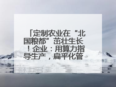 定制农业在“北国粮都”茁壮生长！企业：用算力指导生产，扁平化管理种地