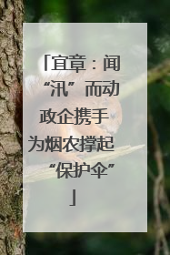 宜章：闻“汛”而动 政企携手为烟农撑起“保护伞”