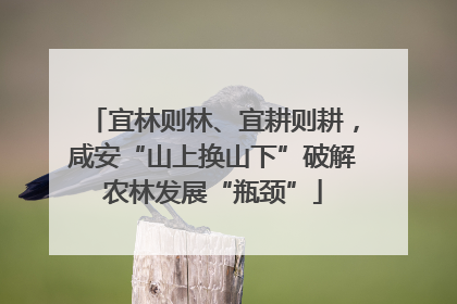 宜林则林、宜耕则耕，咸安“山上换山下”破解农林发展“瓶颈”