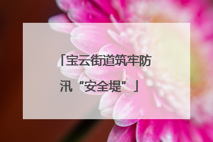 宝云街道筑牢防汛“安全堤”