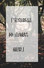 宝岛新品种 山城结硕果