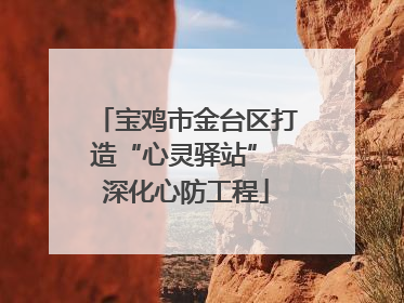 宝鸡市金台区打造“心灵驿站” 深化心防工程