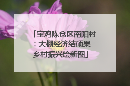 宝鸡陈仓区南阳村：大棚经济结硕果 乡村振兴绘新图