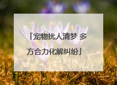 宠物扰人清梦 多方合力化解纠纷