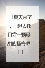 夏天来了，一起去托口尝一颗最甜的杨梅吧！
