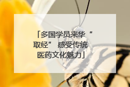 多国学员来华“取经” 感受传统医药文化魅力