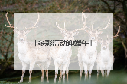 多彩活动迎端午