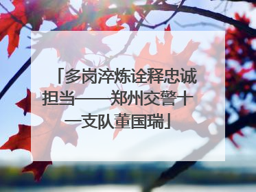 多岗淬炼诠释忠诚担当——郑州交警十一支队董国瑞