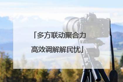 多方联动聚合力 高效调解解民忧
