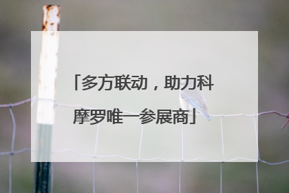 多方联动，助力科摩罗唯一参展商