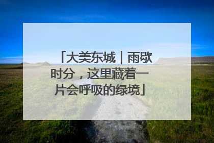 大美东城｜雨歇时分，这里藏着一片会呼吸的绿境