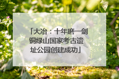 大冶：十年磨一剑 铜绿山国家考古遗址公园创建成功