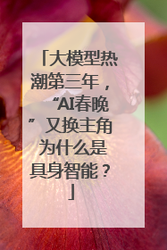 大模型热潮第三年，“AI春晚”又换主角 为什么是具身智能？
