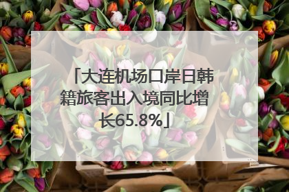 大连机场口岸日韩籍旅客出入境同比增长65.8%