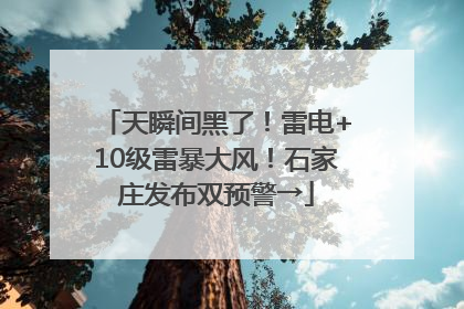 天瞬间黑了！雷电+10级雷暴大风！石家庄发布双预警→