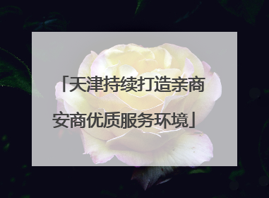 天津持续打造亲商安商优质服务环境