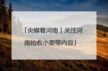 央媒看河南｜关注河南抢收小麦等内容