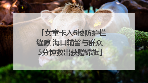 女童卡入6楼防护栏缝隙 海口辅警与群众5分钟救出获赠锦旗