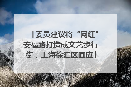 委员建议将“网红”安福路打造成文艺步行街，上海徐汇区回应