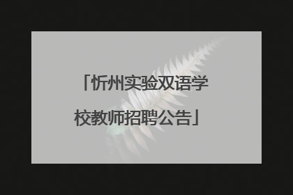 忻州实验双语学校教师招聘公告