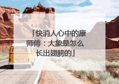 快消人心中的康师傅：大象是怎么长出翅膀的