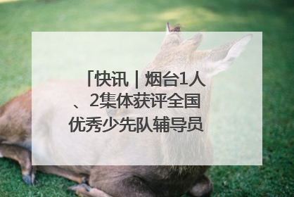 快讯｜烟台1人、2集体获评全国优秀少先队辅导员、集体荣誉称号